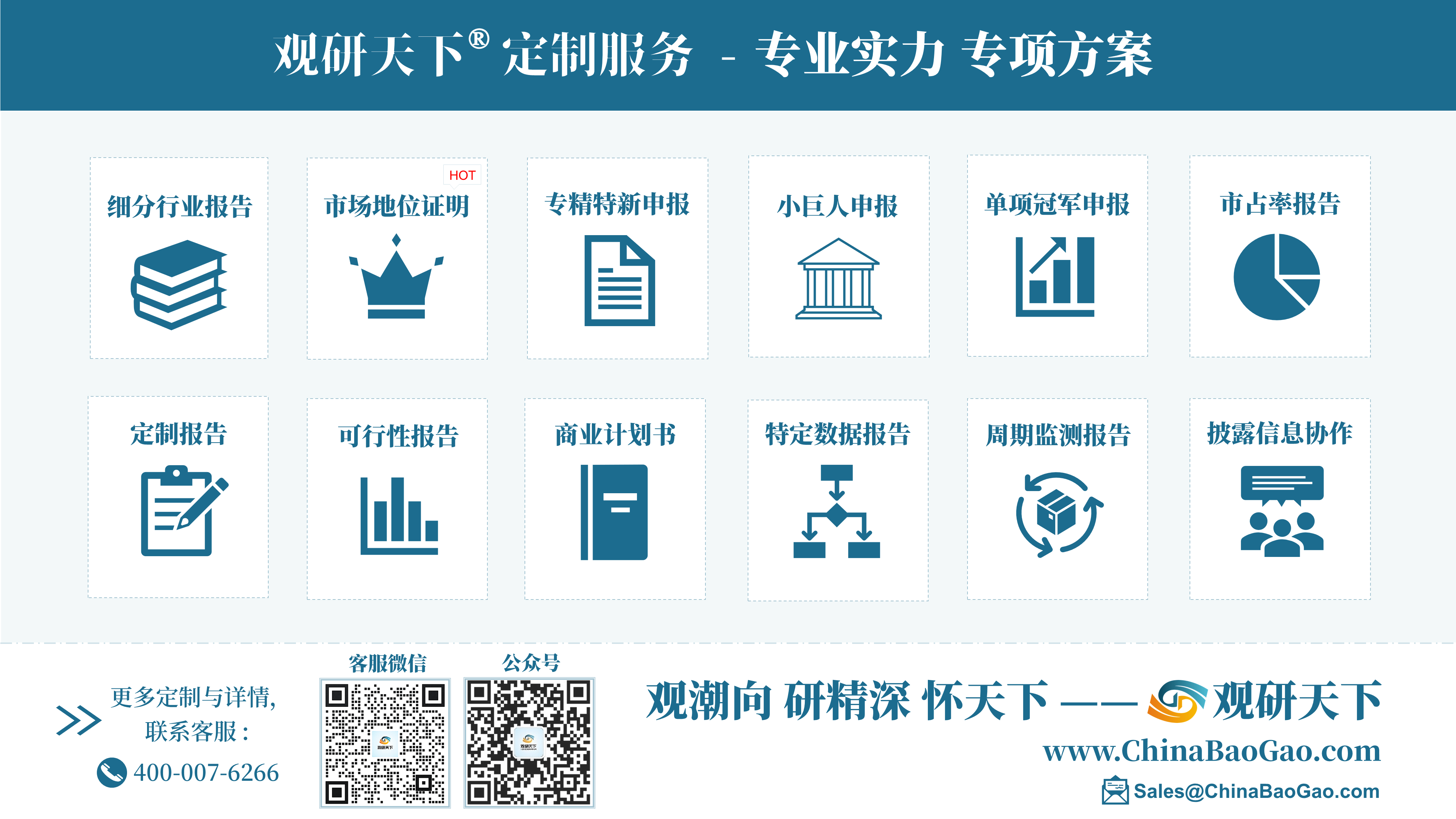 中国电竞电脑行业发展趋势分析与投资前景研究报告（2025-2032年）